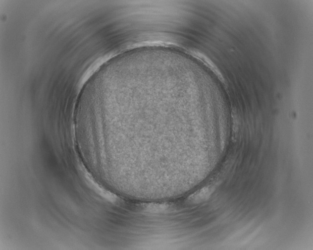 X0000076350890200610272117