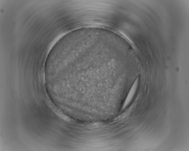 X0000076350891200610272117