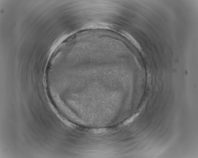 X0000076350893200610272117