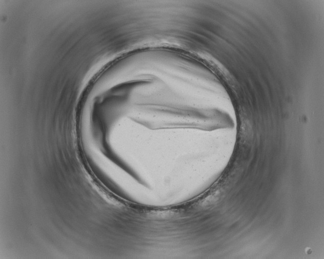 X0000076350894200610272117