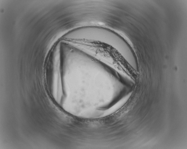 X0000076350895200610272117