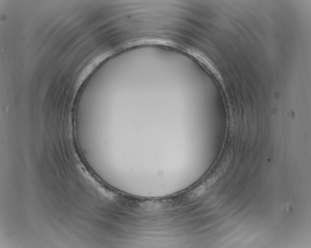 X0000076350898200610272117