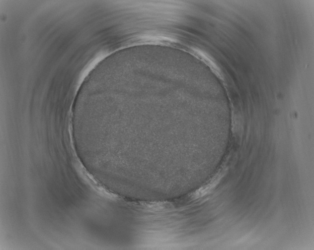 X0000076350899200610272117