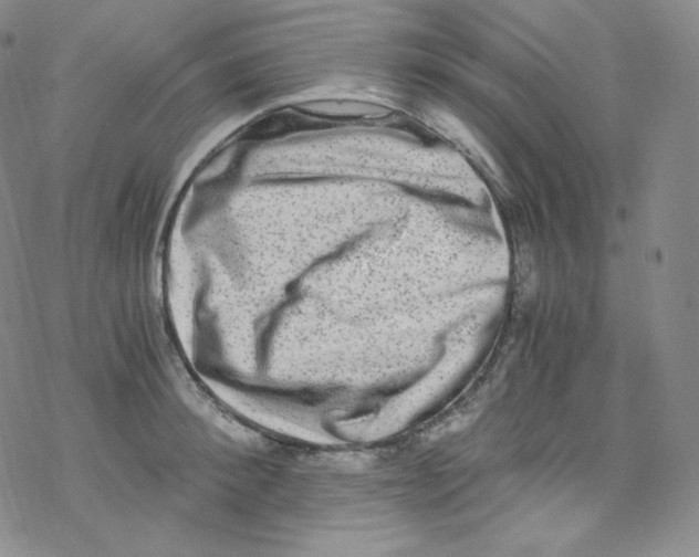 X0000076350900200610272117