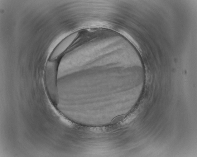 X0000076350901200610272117