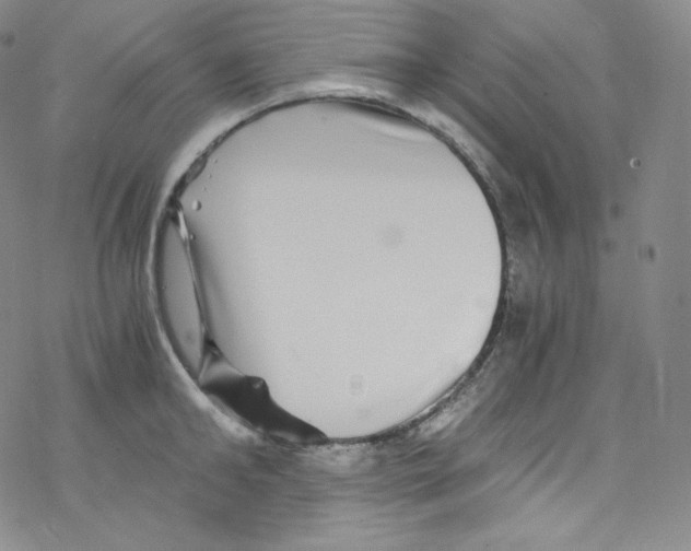 X0000076350902200610272117