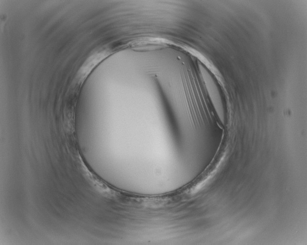 X0000076350905200610272117