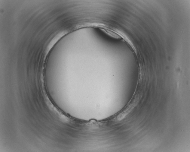 X0000076350906200610272117