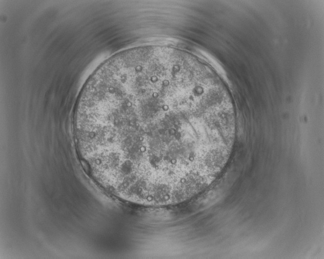 X0000076350907200610272117