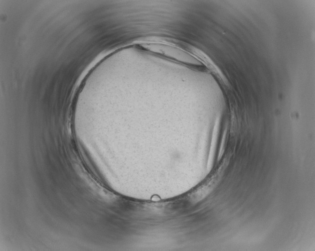 X0000076350908200610272117