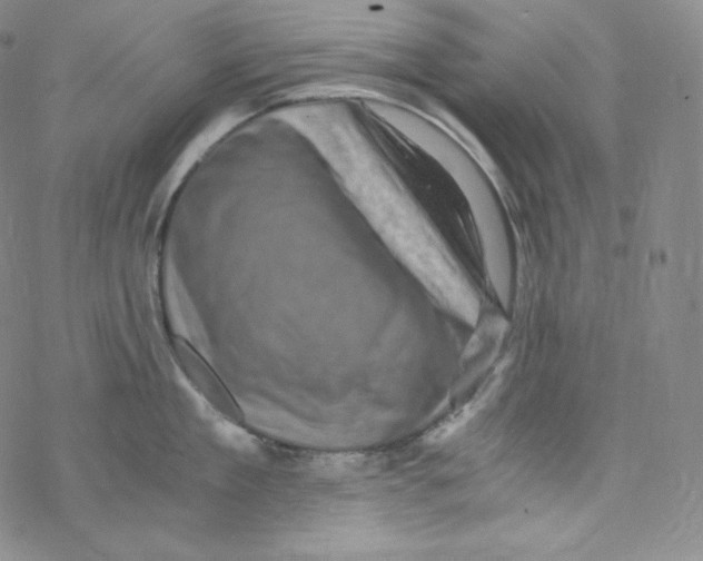 X0000076350909200610272117