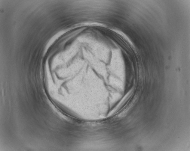 X0000076350910200610272117