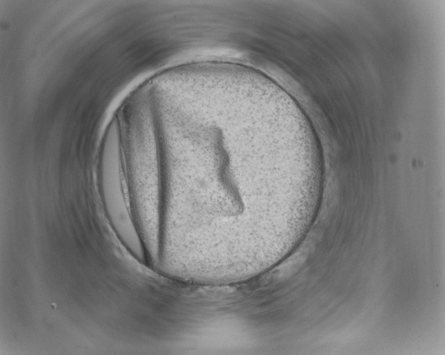 X0000076350912200610272117