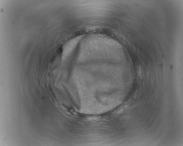 X0000076350914200610272116