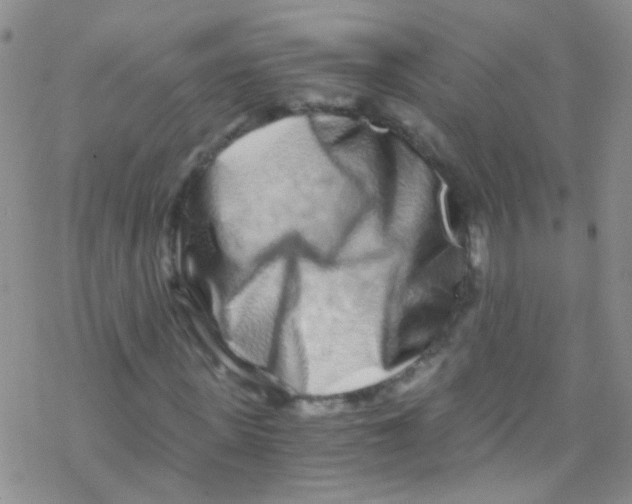 X0000076350915200610272116