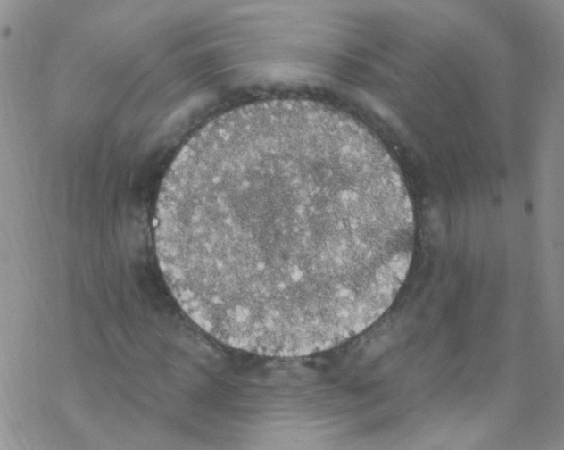 X0000076350918200610272116