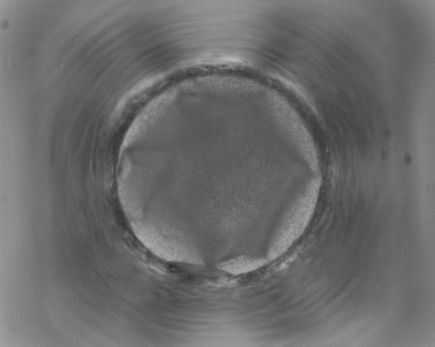 X0000076350920200610272116