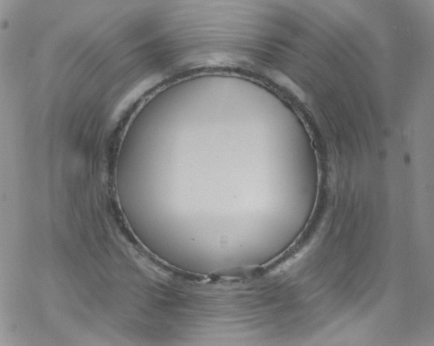 X0000076350922200610272116