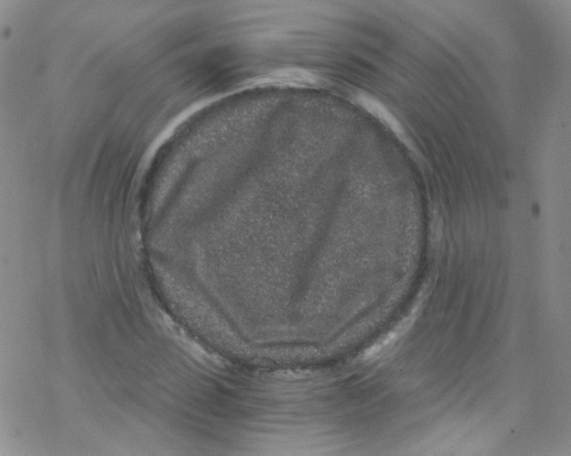 X0000076350923200610272116