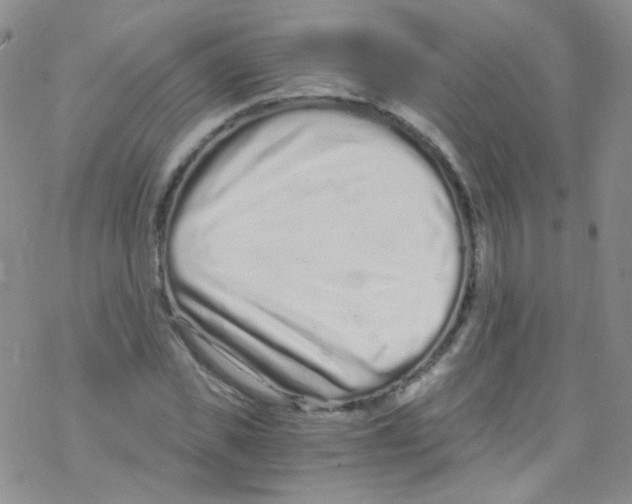 X0000076350925200610272116