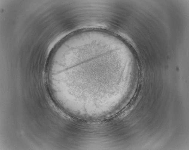 X0000076350928200610272116