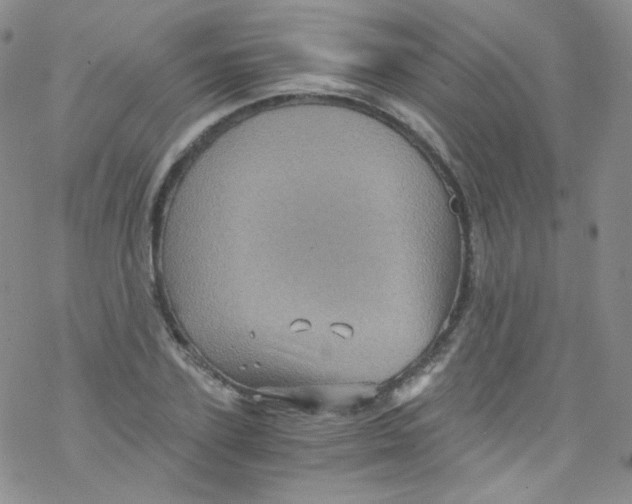 X0000076350931200610272116