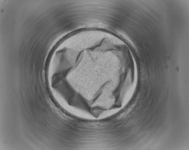 X0000076350932200610272116