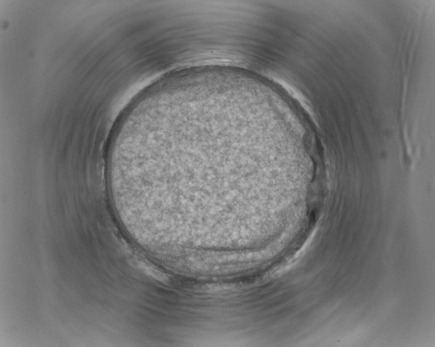 X0000076350933200610272116