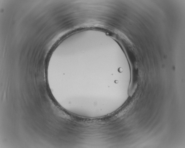 X0000076350934200610272116