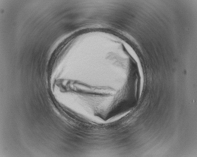 X0000076350935200610272116