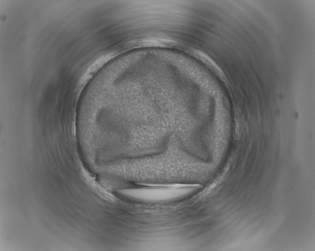 X0000076350938200610272116