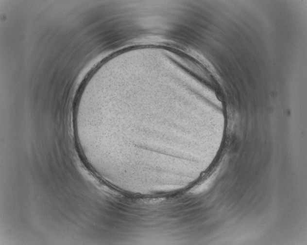 X0000076350939200610272116