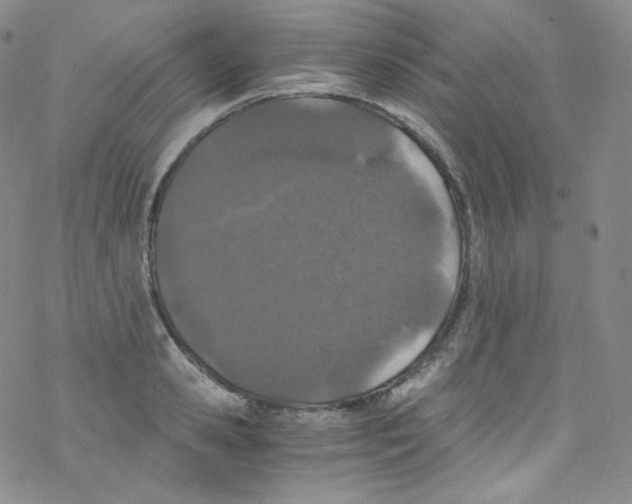 X0000076350941200610272116