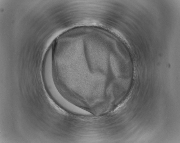 X0000076350942200610272116