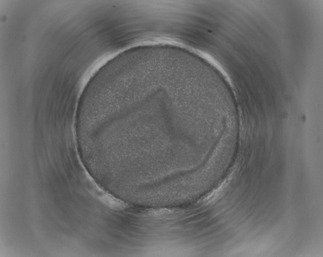 X0000076350943200610272116