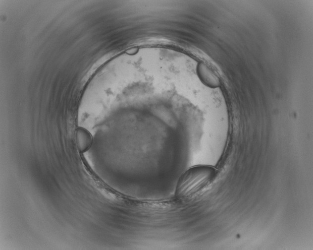 X0000076350945200610272116