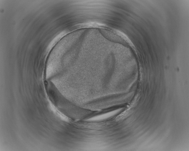 X0000076350946200610272116