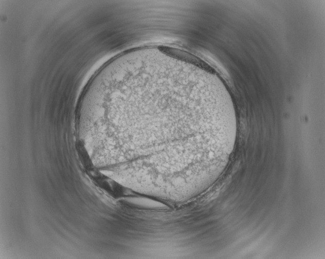 X0000076350948200610272116