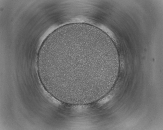 X0000076350950200610272116