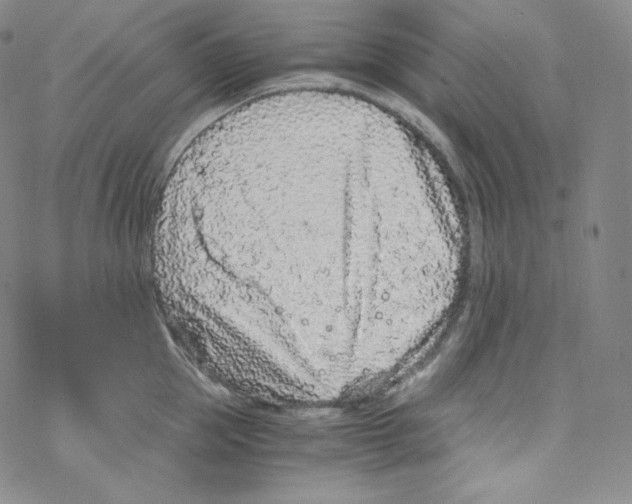 X0000076350953200610272116