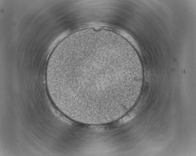 X0000076350954200610272117