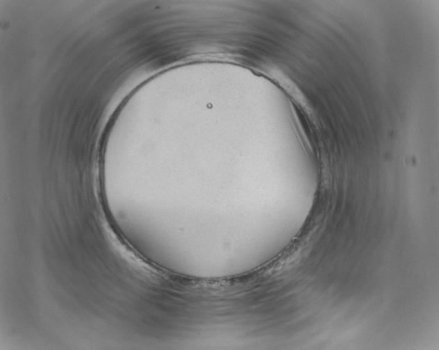 X0000076350955200610272117