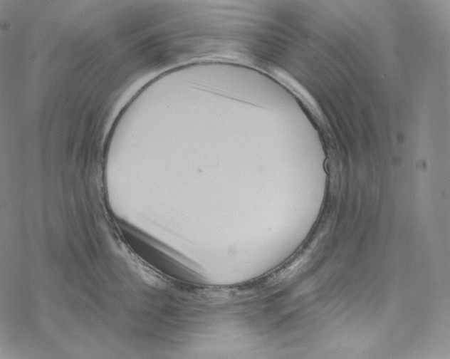 X0000076350956200610272117