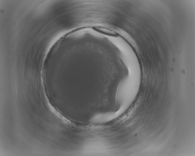 X0000076350958200610272117