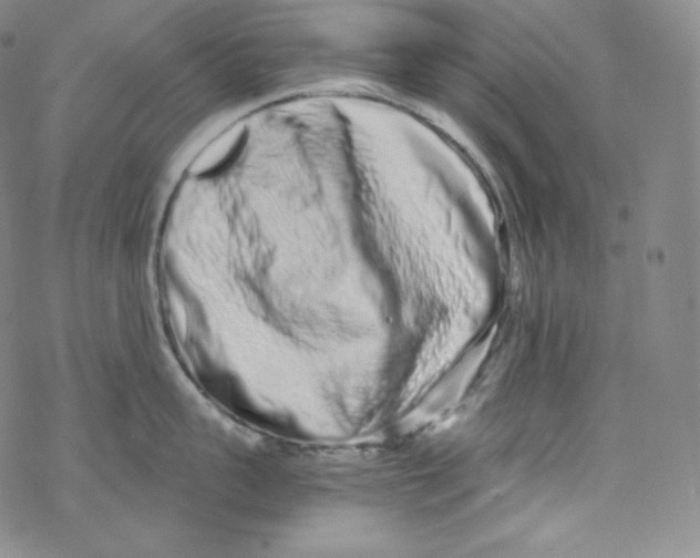 X0000076350959200610272117