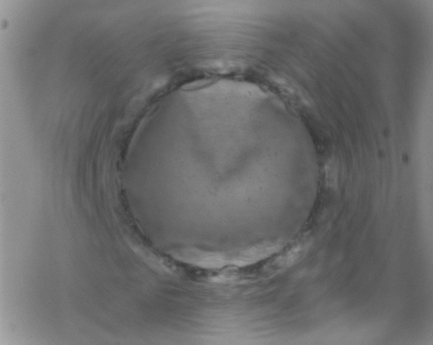 X0000076350961200610272116