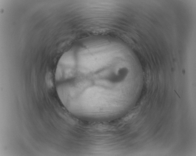 X0000076350962200610272116