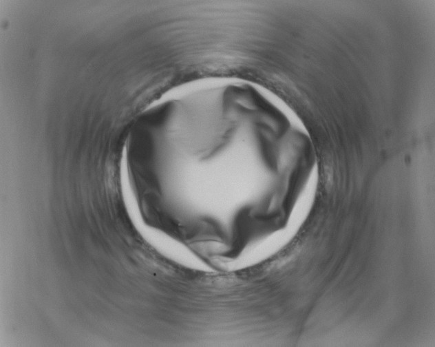 X0000076350964200610272116