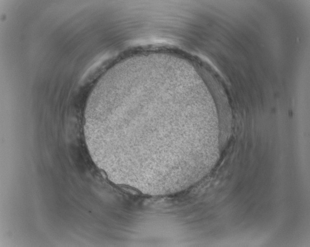 X0000076350967200610272116