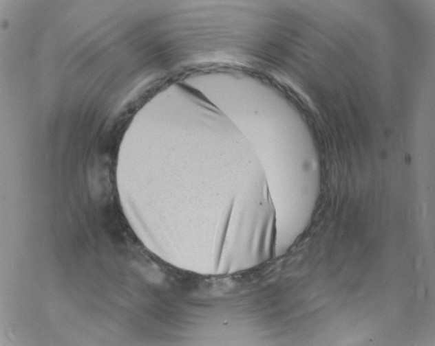 X0000076350968200610272116